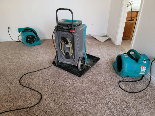 Best Sewage cleanup and water damage restoration  in Terra Alta, WV