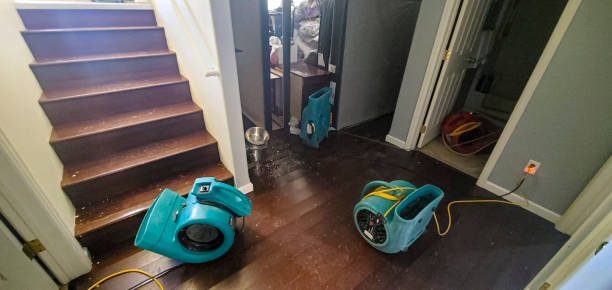 Best Basement water damage restoration  in Terra Alta, WV