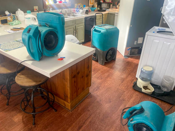 Best Water damage restoration experts  in Terra Alta, WV