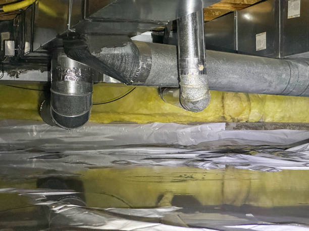 Best 24/7 water damage repair  in Terra Alta, WV