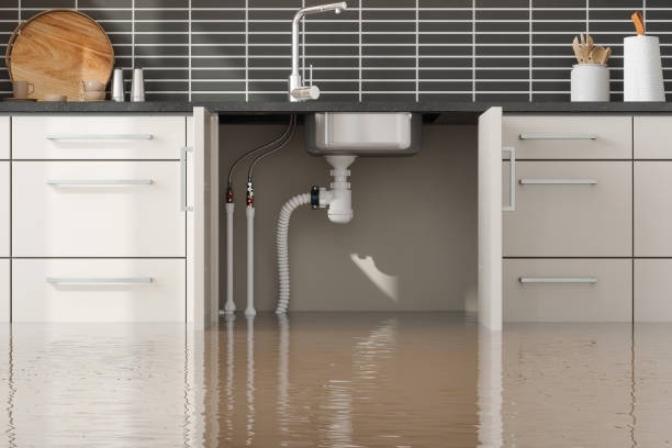 Best Water damage mitigation services  in Terra Alta, WV