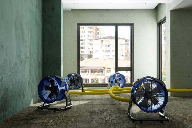 Best Sewage cleanup and water damage restoration  in Terra Alta, WV