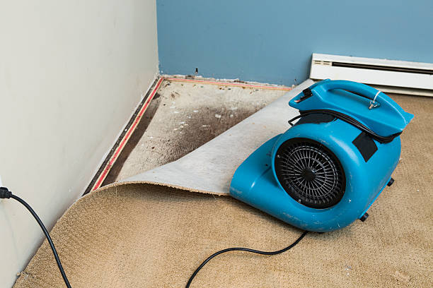 Water damage restoration experts in WV